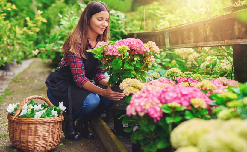 Segmentos de atuação de uma floricultura