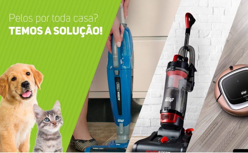 Como limpar uma casa com PETS