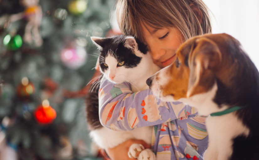 Quais os sintomas causados pela alergia a pelo de animais?