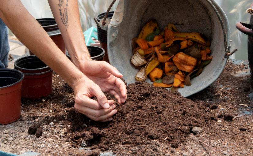 Como Fazer Compostagem na Sua Casa Facilmente
